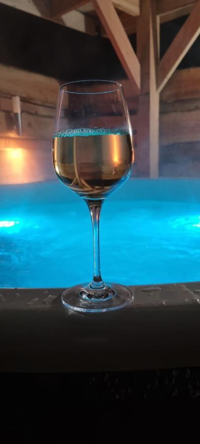 Chalet Harmony Prive Wellness Putten Extérieur photo