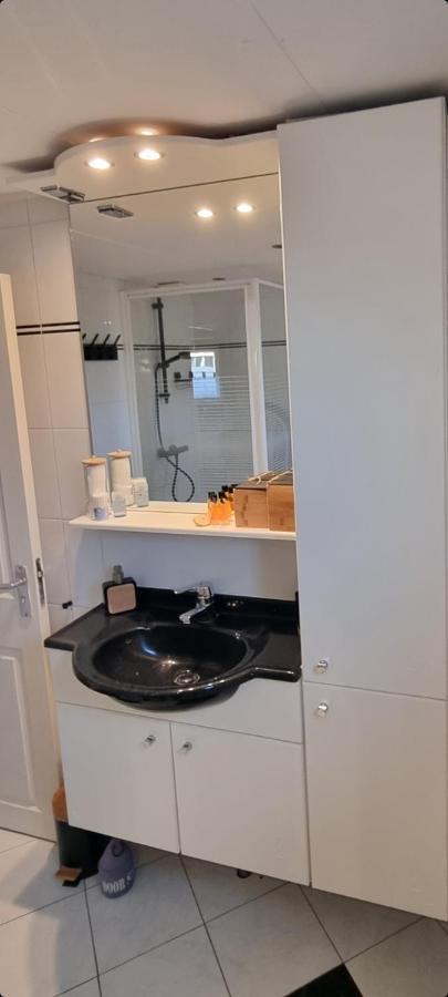 Chalet Harmony Prive Wellness Putten Extérieur photo